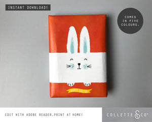 Easter Gift Wrap Bunny 03