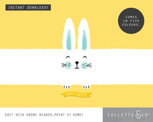 Easter Gift Wrap Bunny 07