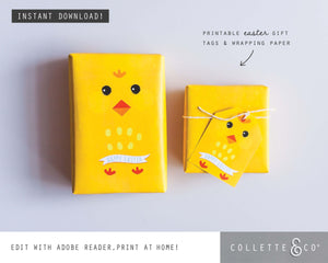 Easter Gift Wrap Little Chick