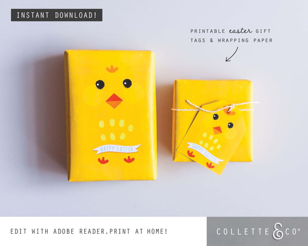 Easter Gift Wrap Little Chick