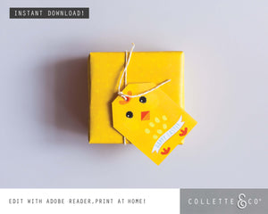 Easter Gift Wrap Little Chick 02
