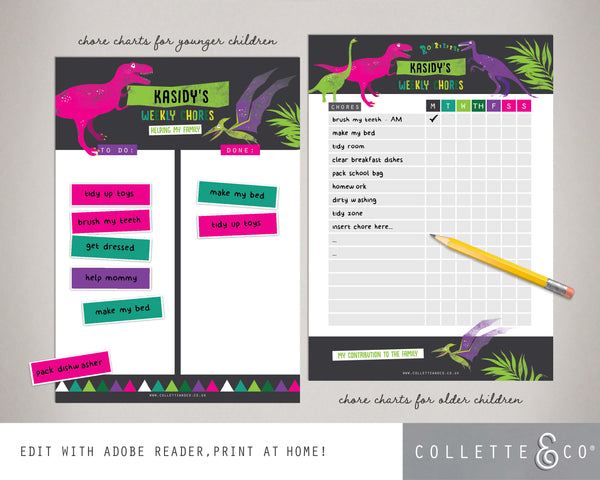 Pink Dinosaur Kids Chore Chart 05