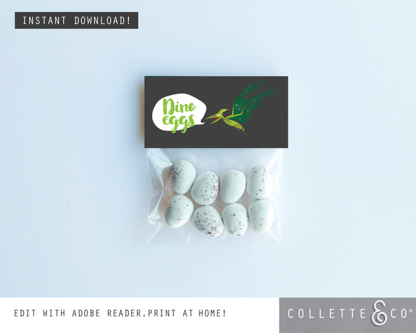Printable Dinosaur Eggs Favour Labels 02