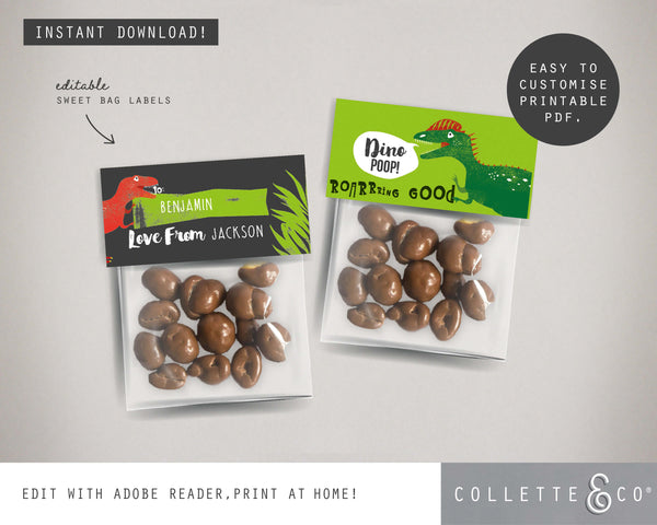 Printable Dinosaur Favour Labels