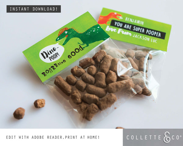 Printable Dinosaur Poop Favour Labels 03