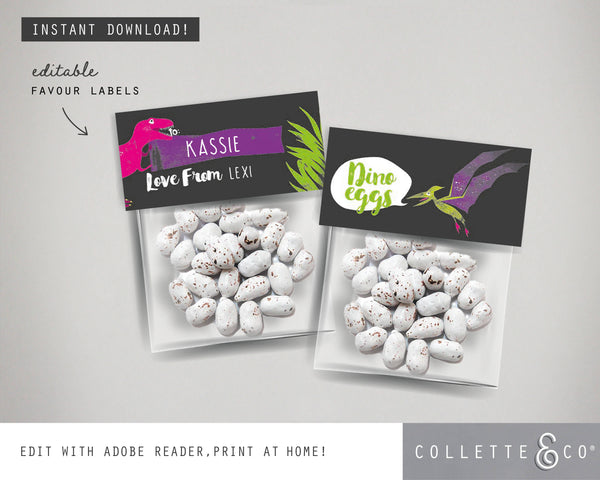 Printable Pink Dinosaur Poop Favour Labels 02