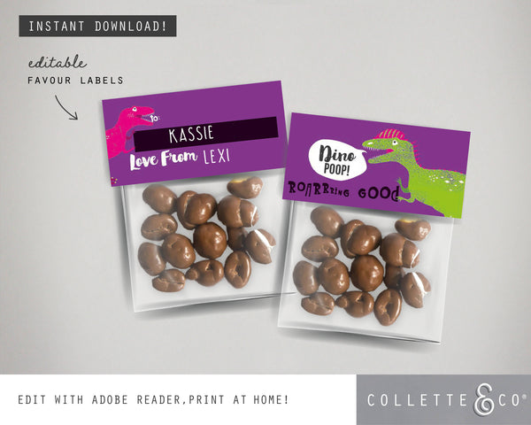 Printable Pink Dinosaur Poop Favour Labels 03