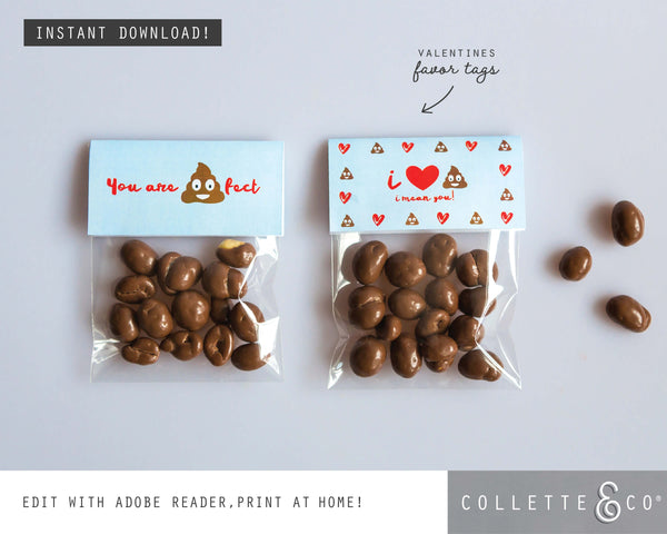 Valentine's Day Printable BUNDLE