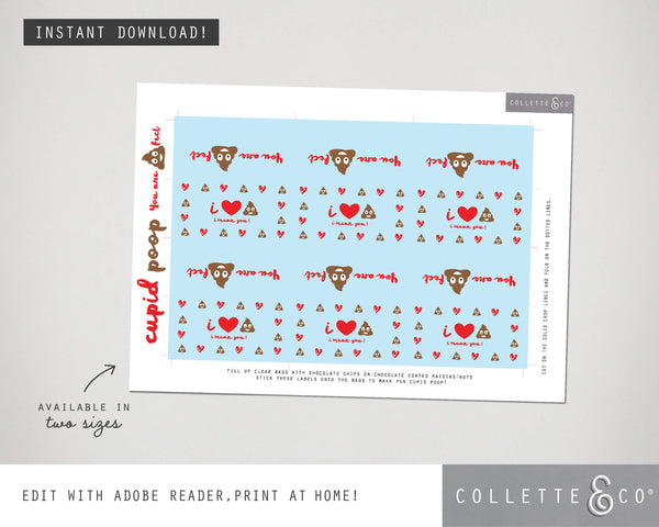 Valentine's Day Printable BUNDLE