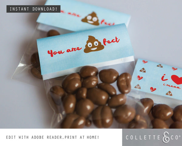 Valentine's Day Printable BUNDLE