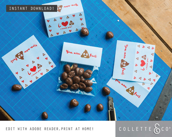 Valentine's Day Printable BUNDLE