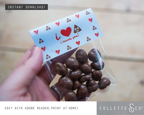 Valentine's Day Printable BUNDLE