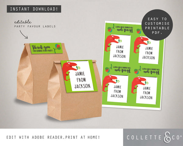 Dinosaur Party Printable Favour Pack