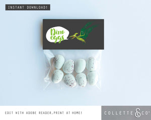 Dinosaur Party Printable Favour Pack