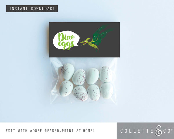 Dinosaur Party Printable Favour Pack