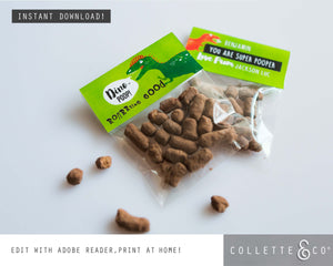 Dinosaur Party Printable Favour Pack