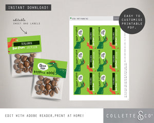Dinosaur Poop Printable Favour Candy Bag Toppers & Labels