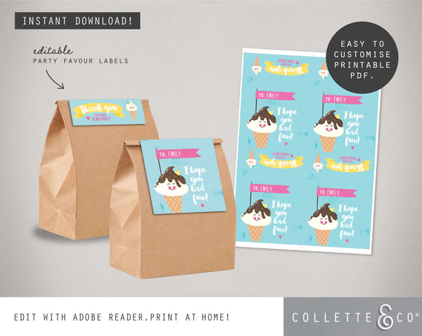 Ice Cream Party Printable Favour Pack