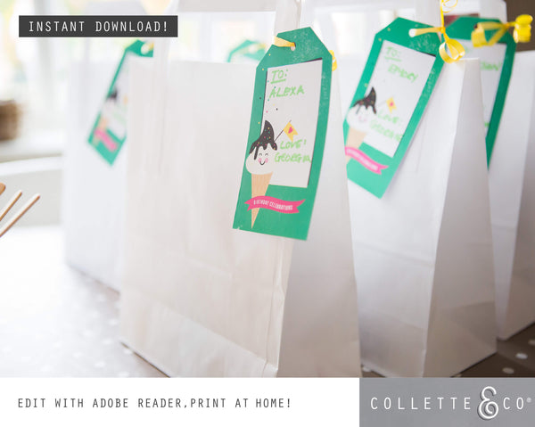 Ice Cream Party Printable Favour Pack