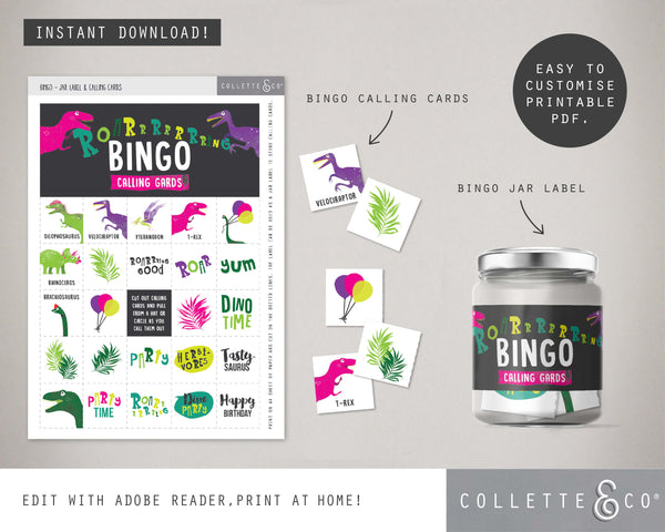 Pink Dinosaur Party Printable Bingo