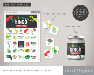 Dinosaur Party Printable Bingo