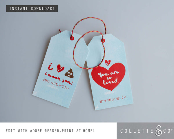 FREE Valentine's Day Printable Wrapping Paper & Gift Tag