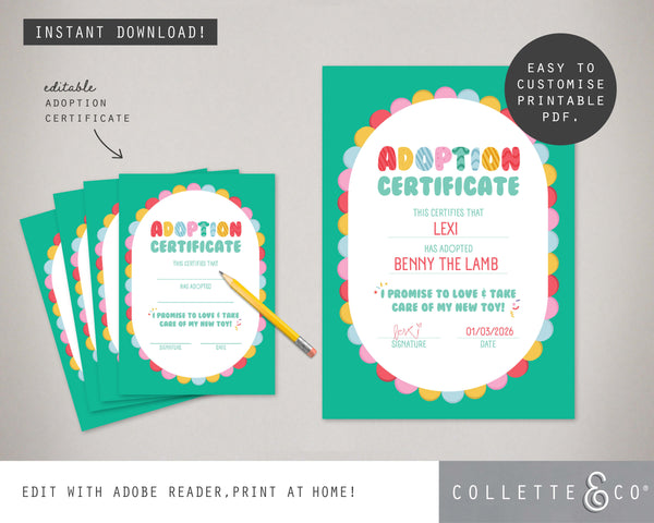 Toy Adoption Party Printable Adoption Pack