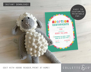 Toy Adoption Party Printable Adoption Pack