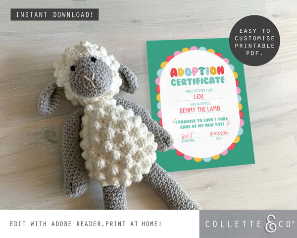 Toy Adoption Party Printable Adoption Pack