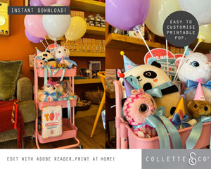 Toy Adoption Party Printable Adoption Pack