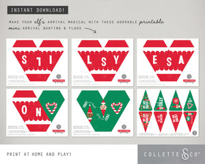 Christmas Mini Bunting & Flags