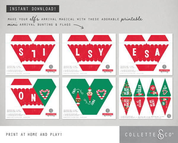 Christmas Mini Bunting & Flags