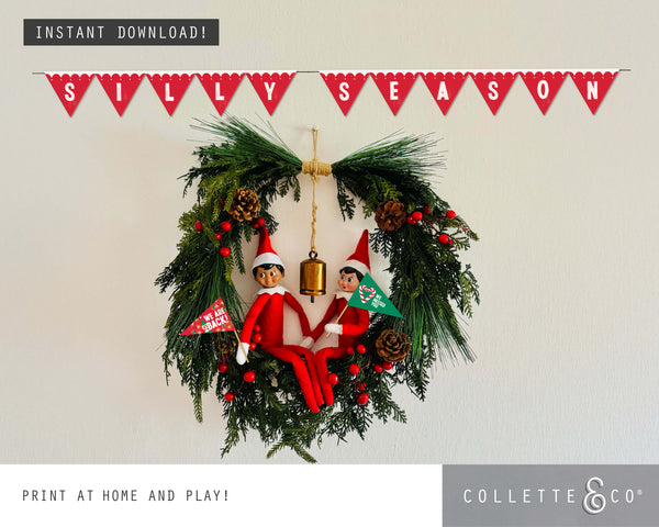 Christmas Mini Bunting & Flags