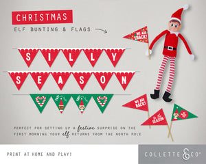 Christmas Mini Bunting & Flags