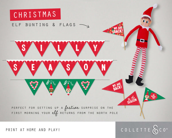 Christmas Mini Bunting & Flags