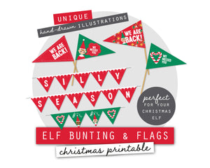 Christmas Mini Bunting & Flags