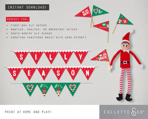 Christmas Mini Bunting & Flags