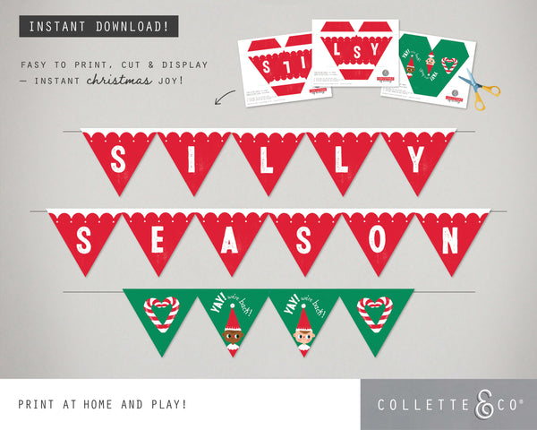 Christmas Mini Bunting & Flags