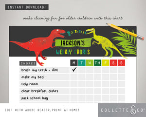 Dinosaur Kids Chore Chart 04