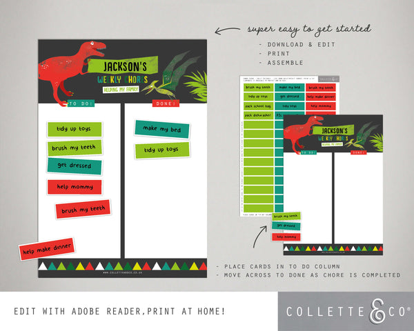 Dinosaur Kids Chore Chart 08